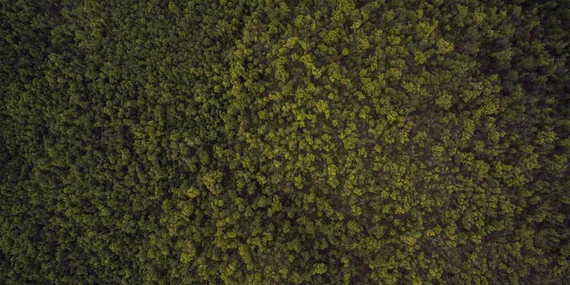 中国捕猎52:户外生存、狩猎安全与核心技巧全解析