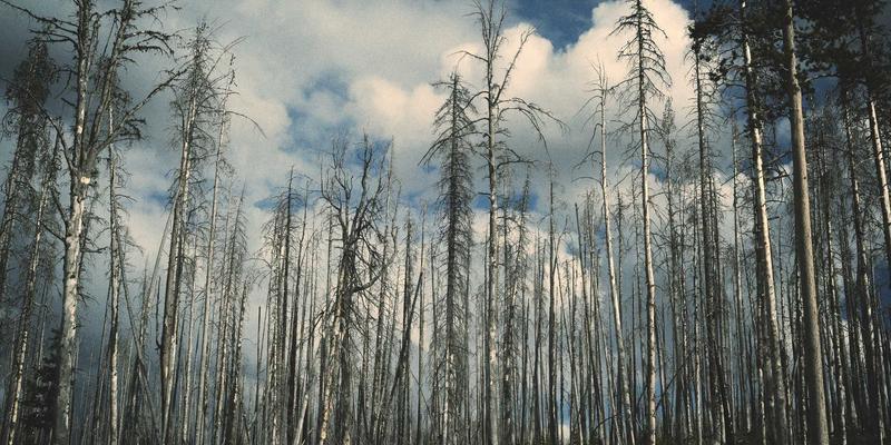 中国捕猎57:传统与现代交织的户外运动探索