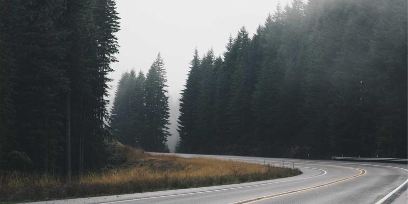 中国捕猎71号区域全攻略:现代狩猎装备、弓箭技艺与户外生存智慧