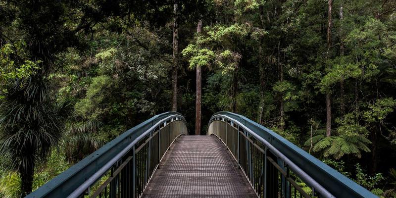 中国捕猎优势解析：从精密望远镜到专业装备，如何实现安全高效狩猎
