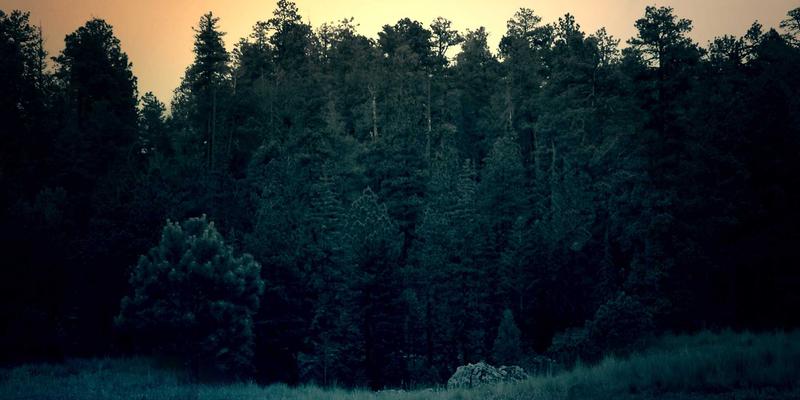 中国捕猎：望远镜在户外运动中的观察艺术与安全实践