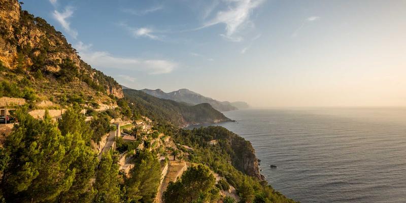 中国捕猎进阶指南：从法规认知到实战装备与生存技巧