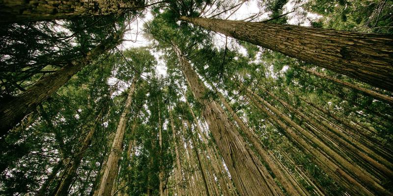 从传统技艺到现代生活：中国捕猎趋势演变与户外消费新浪潮