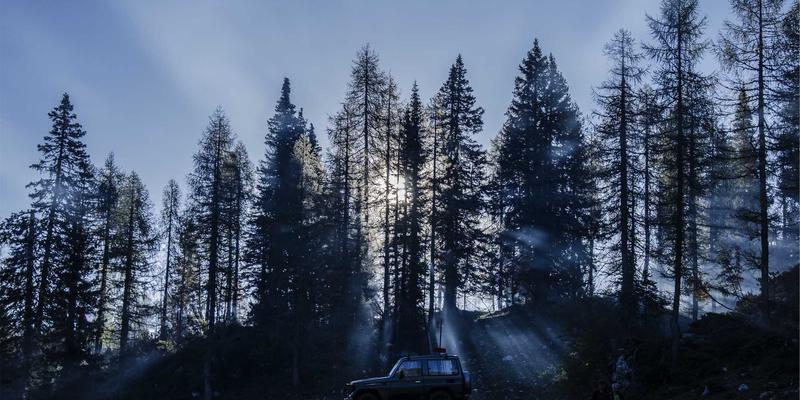 从猎手到守护者：青藏高原狩猎技巧如何转型为生态保护智慧