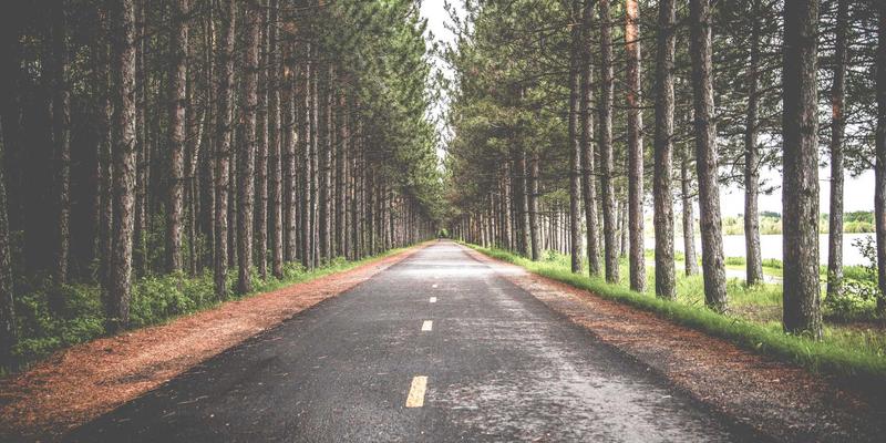 从猎枪到望远镜：中国西南山地民族狩猎文化的现代转型与生态守护