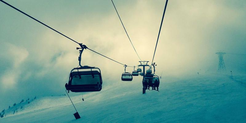 从猎枪到补偿机制：中国野生动物肇事补偿如何替代传统狩猎需求