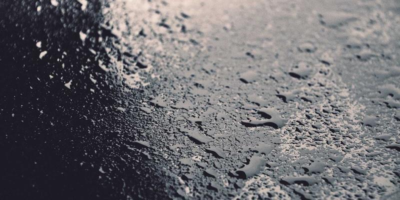 从猎金雕到户外探索：新疆哈萨克族驯鹰技艺的现代传承与装备启示