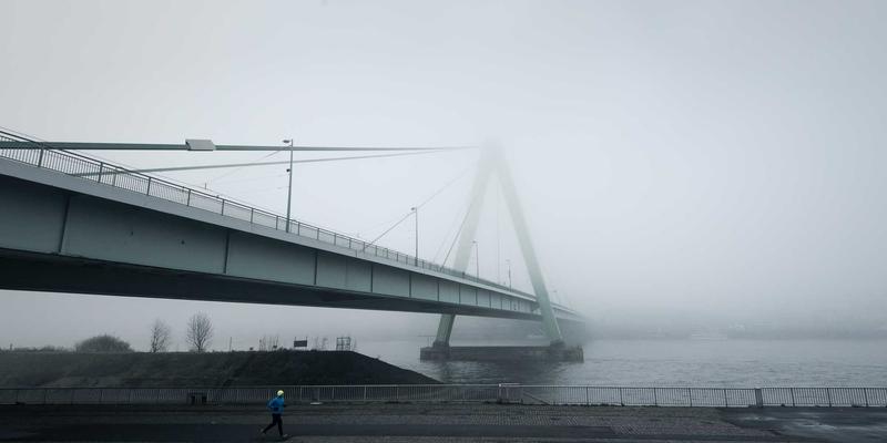 从细犬到山东滑条：中国古代猎犬演化史与狩猎安全中的弓箭、猎枪变革