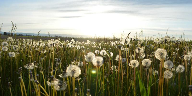 弓箭与自然法则:中国捕猎73号令下的户外运动新思考